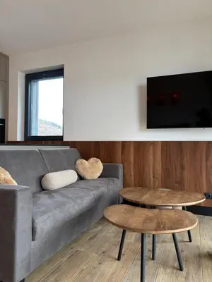 TV/Unterhaltungsangebot in der Unterkunft Appartement GLÜCKSVOGEL