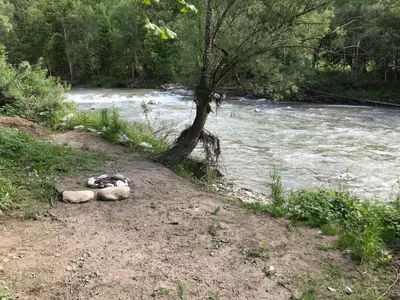 Naturlandschaft in der Nähe der Ferienwohnung