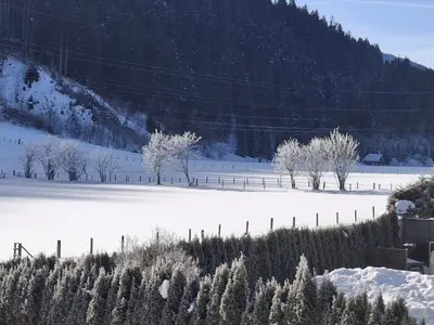 Joss im Winter