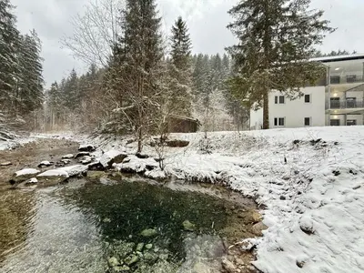 Naturlandschaft in der Nähe der Ferienwohnung