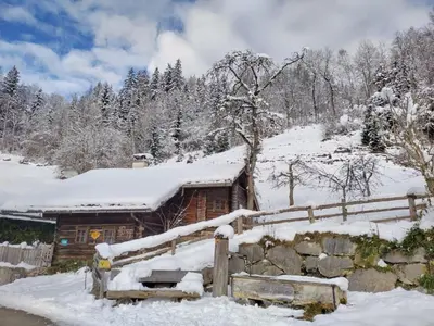 Zetzenberghütte im Winter