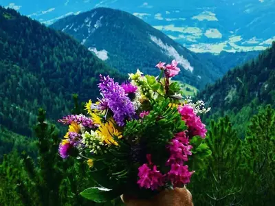 Naturlandschaft in der Nähe des Ferienhauses