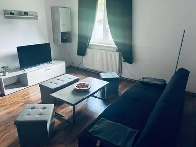 TV/Unterhaltungsangebot in der Unterkunft Haus Vranjes