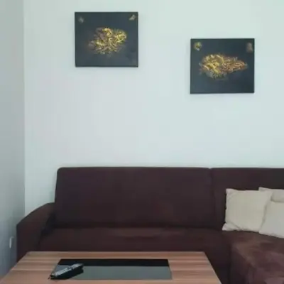 one bedroom apartment