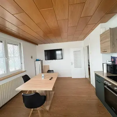 Danner Appartements Regau - Möblierte Langzeit- & Monteurapartments nahe Gmunden