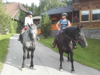 Tiere in der Ferienwohnung oder in der Nähe
