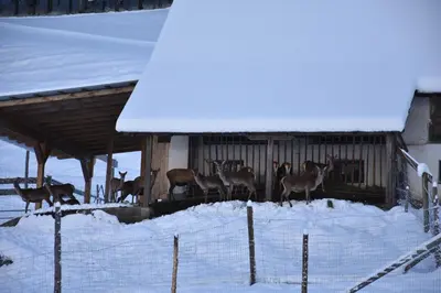 Apartment Krobath im Winter