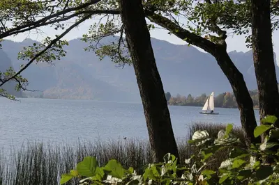 Naturlandschaft in der Nähe der Ferienwohnung