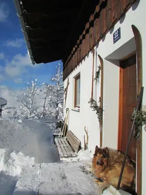 Haustiere von Gästen der Unterkunft Art Chalet Vorderschuhzach