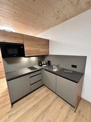 Küche/Küchenzeile in der Unterkunft Alpin Studio Schladming 107