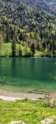 Naturlandschaft in der Nähe des Ferienhauses