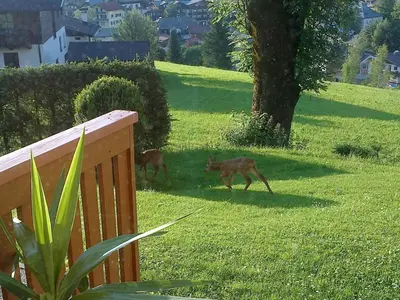 Ein Garten an der Unterkunft Apartment Haus Dreier by Interhome