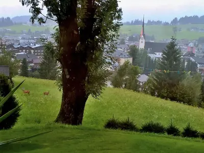 Naturlandschaft in der Nähe der Ferienwohnung