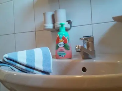 Ein Badezimmer in der Unterkunft Apartment Gsenger Natur in Abtenau by Interhome