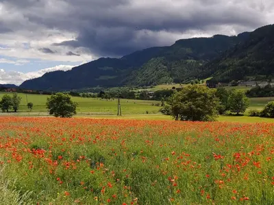 Naturlandschaft in der Nähe der Ferienwohnung