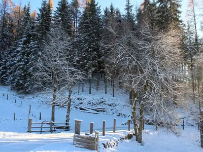 Holiday Home Chalet Almidylle in Sankt Martin am Tennengebirge by Interhome im Winter