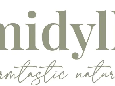 Grundriss der Unterkunft Holiday Home Chalet Almidylle in Sankt Martin am Tennengebirge by Interhome
