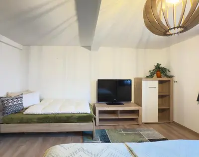 TV/Unterhaltungsangebot in der Unterkunft Haus Bernstein Apartment 2