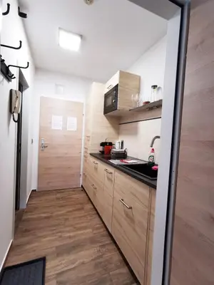 Küche/Küchenzeile in der Unterkunft Apartment Alpenblick Bad Aussee