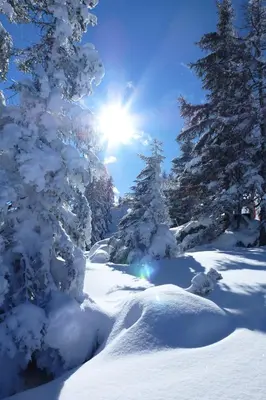 Appartement Untergumpold im Winter