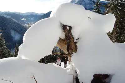 Alpengasthof Grobbauer im Winter