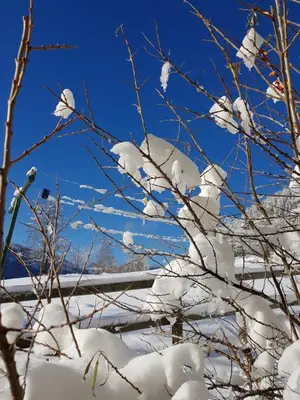 Alpengasthof Grobbauer im Winter