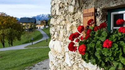Grundriss der Unterkunft Chalet Tamberg