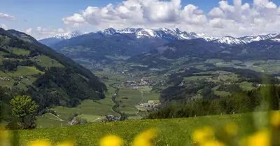 Naturlandschaft in der Nähe des Campingplatzes