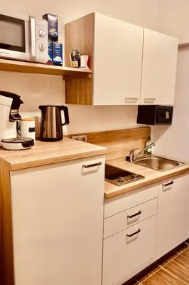 Küche/Küchenzeile in der Unterkunft Apartment Deluxapartment Simon by Interhome