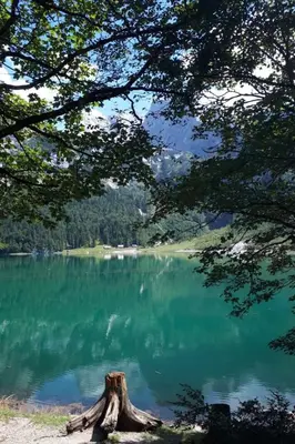 Naturlandschaft in der Nähe der Ferienwohnung