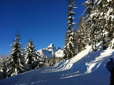 Zur lieben Sonne im Winter