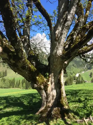 Naturlandschaft in der Nähe der Ferienwohnung