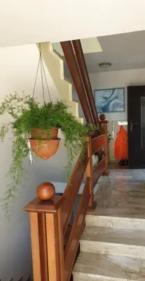 Grundriss der Unterkunft Salzkammergut-Live