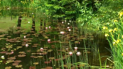 Naturlandschaft in der Nähe der Pension