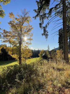 Naturlandschaft in der Nähe der Ferienwohnung
