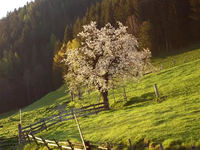 Naturlandschaft in der Nähe der Ferienwohnung