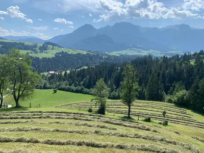 Naturlandschaft in der Nähe der Ferienwohnung