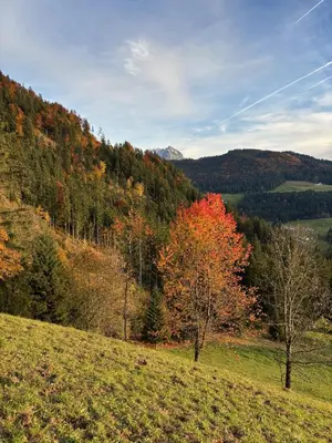 Naturlandschaft in der Nähe der Ferienwohnung