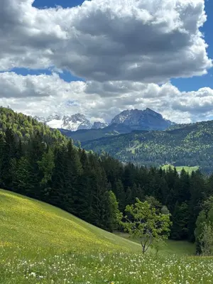 Naturlandschaft in der Nähe der Ferienwohnung