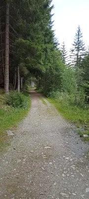 Naturlandschaft in der Nähe der Ferienwohnung