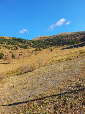 Naturlandschaft in der Nähe der Ferienwohnung