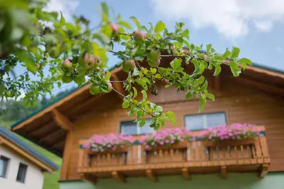 Das Gebäude in dem sich das Ferienhaus befindet