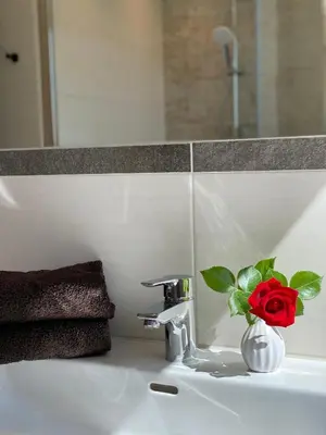 Ein Badezimmer in der Unterkunft Dachsteinblick