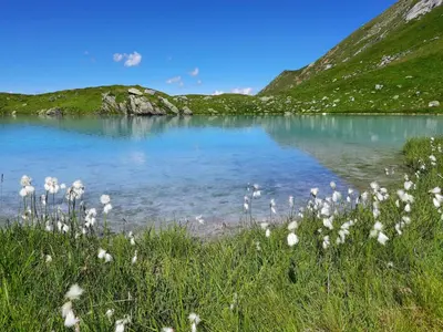Naturlandschaft in der Nähe der Ferienwohnung