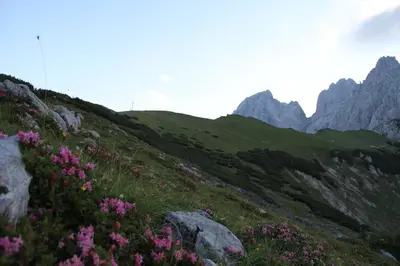 Naturlandschaft in der Nähe der Pension