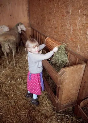 Kinder, die in der Unterkunft Bio-Bauernhof Einberghof übernachten