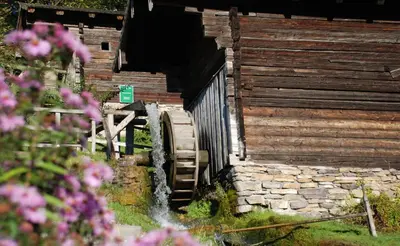 Ein Garten an der Unterkunft Bio-Bauernhof Einberghof