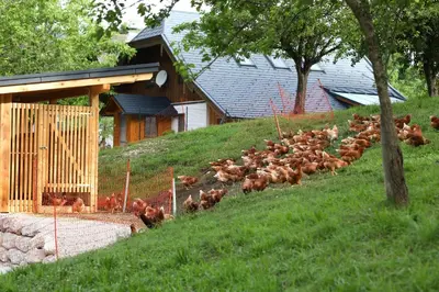 Ein Garten an der Unterkunft Attwengerhof