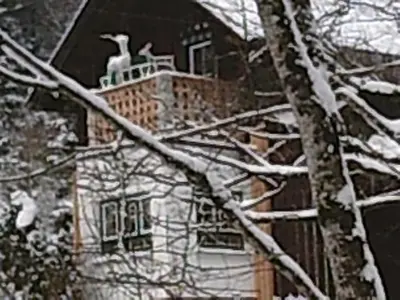 Altes Forsthaus am Bach im Winter
