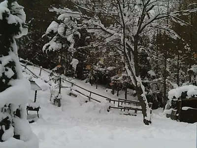 Altes Forsthaus am Bach im Winter